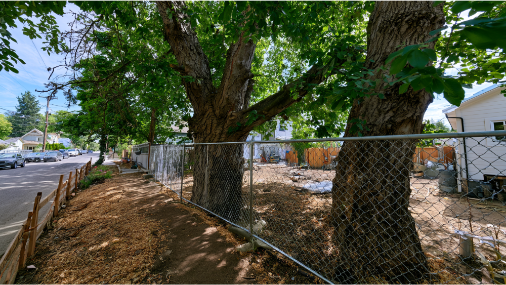 Protecting Existing Landscaping During ADU Construction